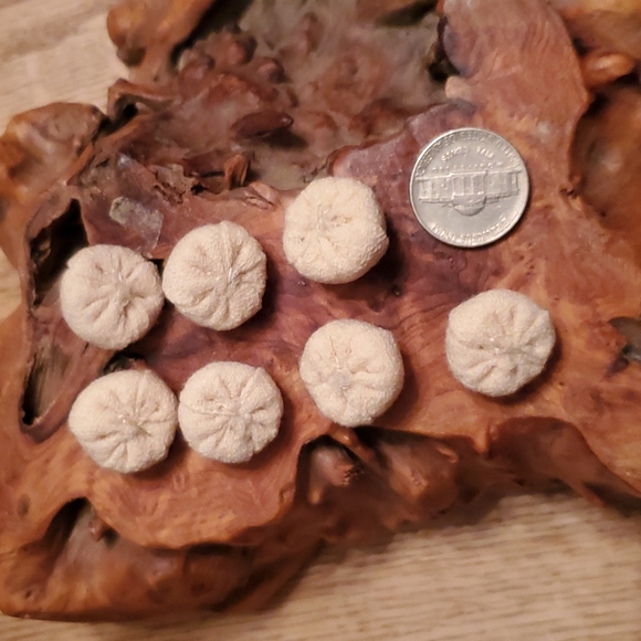 Vintage handmade fabric buttons - Picture 2 of 3